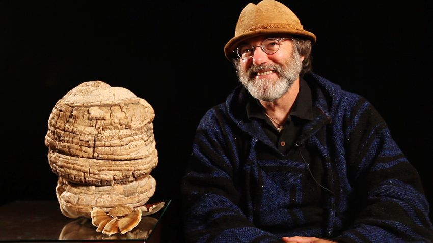 "Mushroom Man" Paul Stamets talks about the many health benefits of mushrooms, one possibly helping to cure cancer.