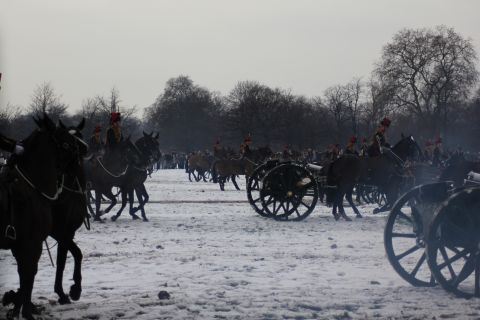 Although primarily a ceremonial unit, with responsibility for firing gun salutes on state occasions, the King's Troop has an operational role as part of the territorial defence of the United Kingdom.