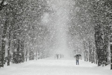 People walk through a park in Burgos as snow hits northern Spain on Sunday. 