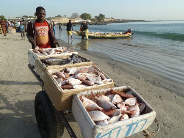 Young boys help their families transport the day's catch. 