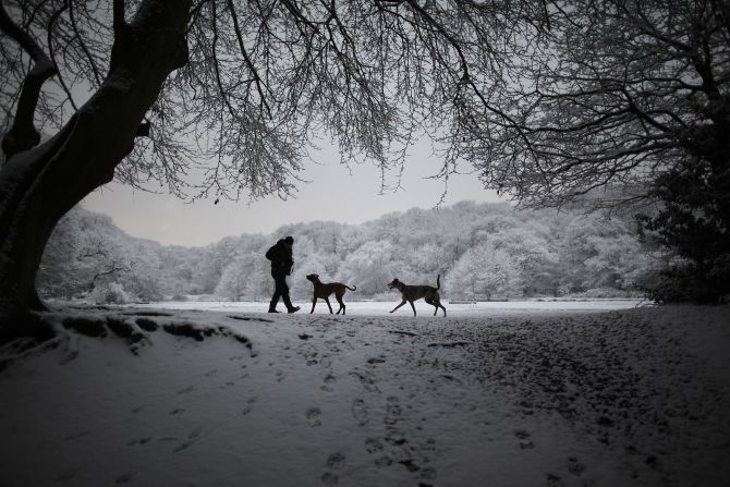 A man walks with his dogs next to Queen's Mere pond in the snow on Wimbledon common on February 10, 2012 in London, England. The Met Office cold weather alert remains at Level 3 as southern parts of England continue to suffer from cold weather and freezing conditions, with further snowfall overnight.