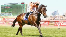 Five-year-old mare Black Caviar has been on a sensational unbeaten run, winning all 18 of her races.