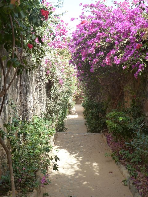 A beautiful flower-shaded walkway masks painful memories from centuries ago. 