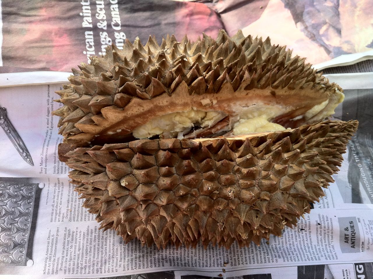 Durian: Like eating strawberries and cream in a public toilet.