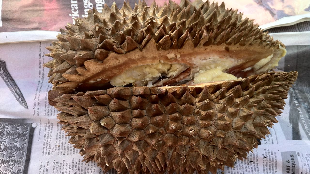The durian, like many great relationships, only reveals itself slowly.
