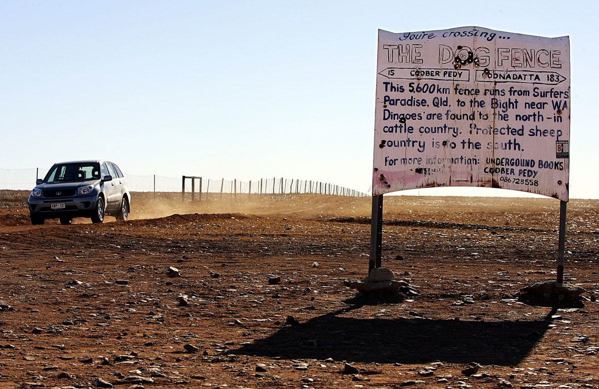 A fence, thousands of kilometers long, attempts to keep dingoes away from livestock in a file image from 2005.