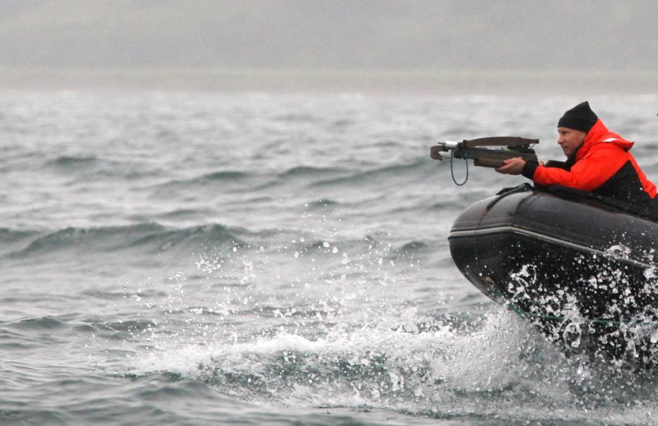 The Russian president aims at a whale with an arbalest (crossbow) to take a piece of its skin for analysis at Olga Bay on August 25, 2010.