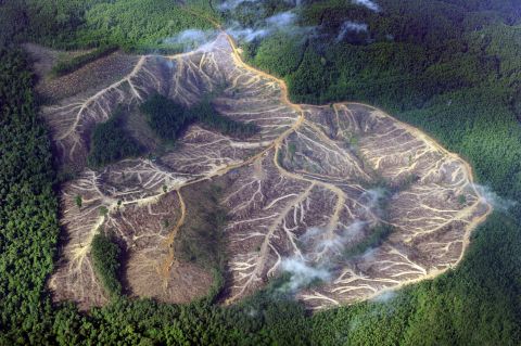 A picture dating from 2010 showing a logged area in the mountains of Jambi province in Indonesia's Sumatra island.