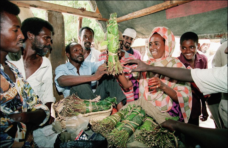 Khat is central to cultural and social activities for many communities in East Africa and parts of the Middle East.