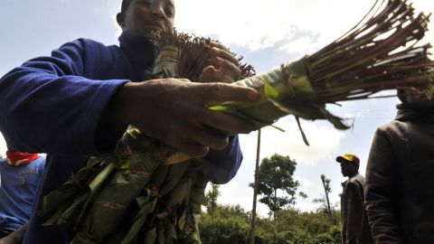 Kenya's government officials say they are in talks with their counterparts in the Netherlands to reverse the ban.