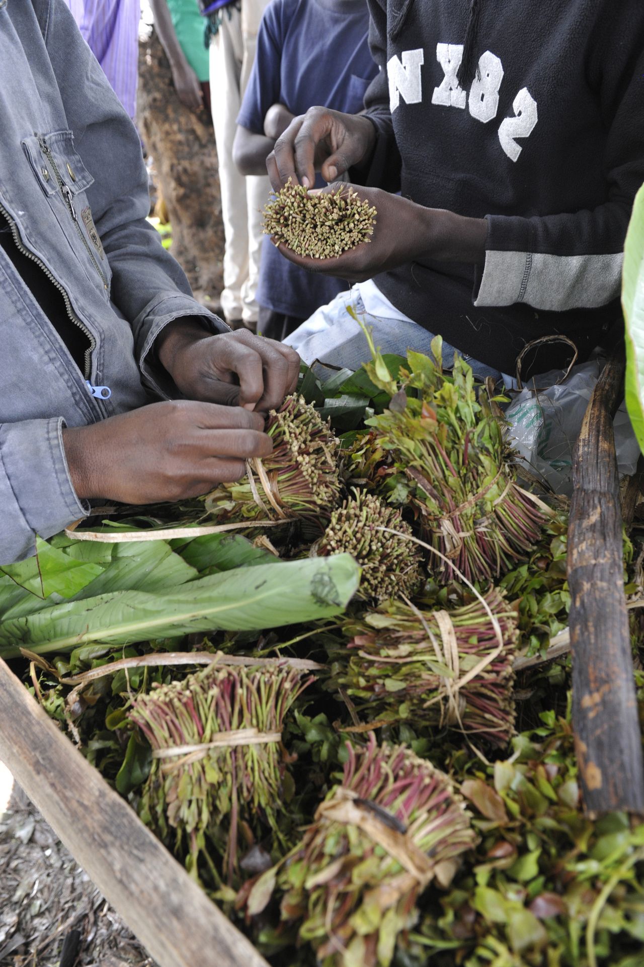 The Dutch government announced in January a ban on all imports of khat -- the mild narcotic is already illegal in the U.S. and most European countries.