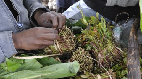 The Dutch government announced in January a ban on all imports of khat -- the mild narcotic is already illegal in the U.S. and most European countries.