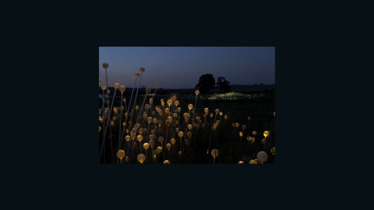 'Field of Light' encourages onlookers to cherish the landscape says British lighting designer Bruce Munro