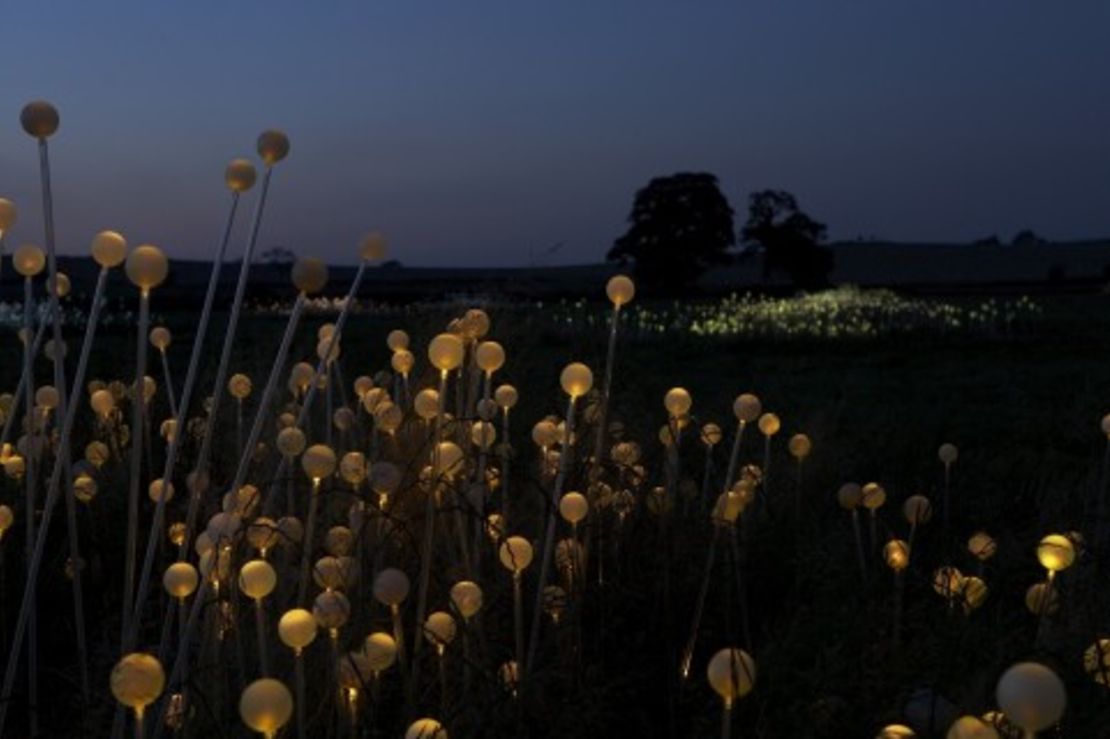 'Field of Light' encourages onlookers to cherish the landscape says British lighting designer Bruce Munro