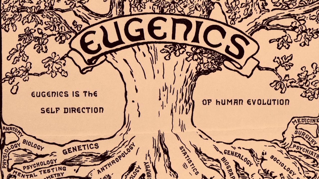 pkg cohen eugenics reparations_00005610