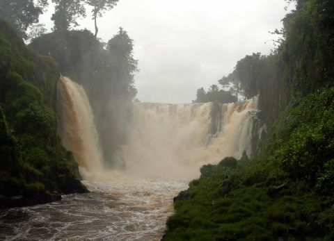Kongou Falls, located in the heart of Gabon's Ivindo National Park, are some of the most impressive cataracts in the African continent. 