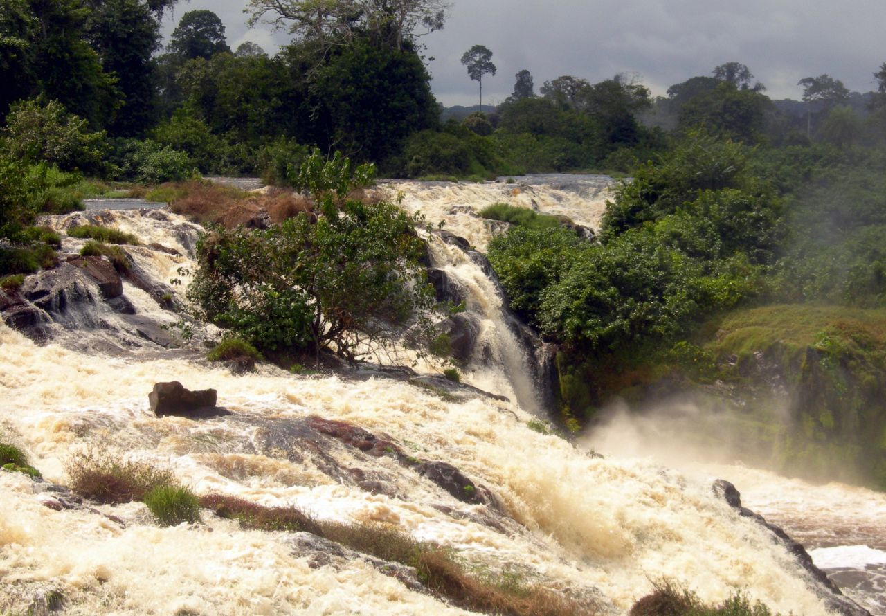 Ona has campaigned tirelessly for the protection of the Congo Basin rainforest, the world's second largest rainforest after the Amazon.