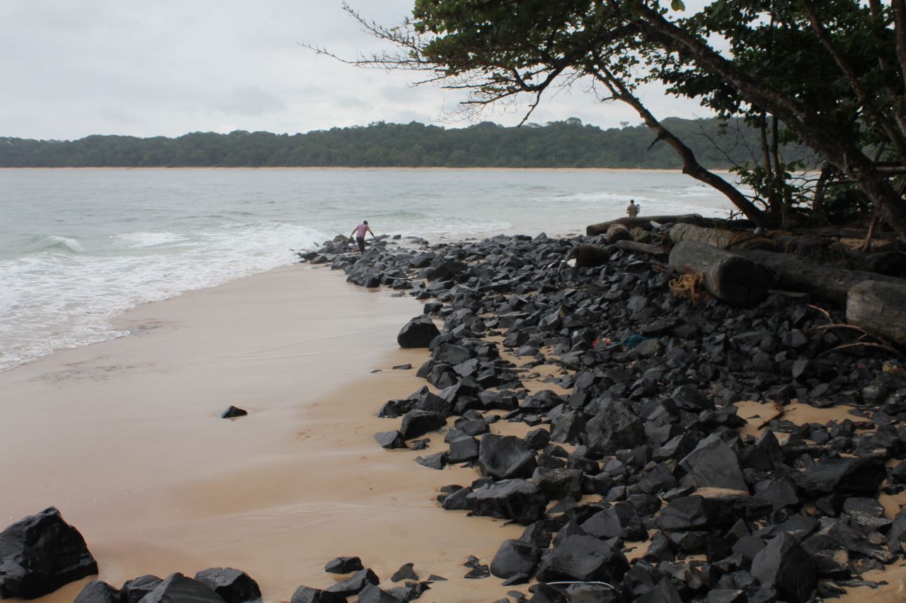 Gabon is one of the few countries in the world where the rainforest meets the coastline.