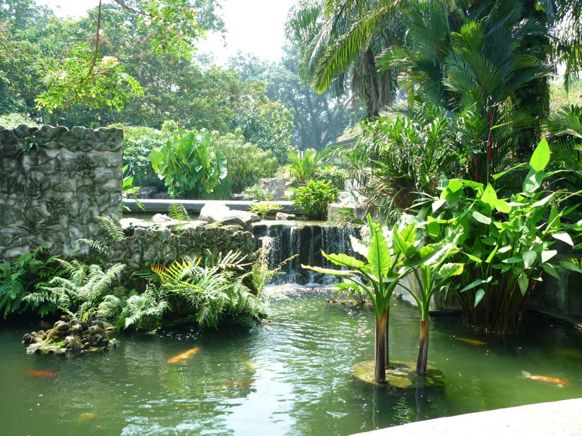 Singapore's Botanic Gardens are an oasis of calm amongst the hustle and bustle of one of Asia's largest cities says Shawn Low, editor of Lonely Planet's Asia-Pacific edition.