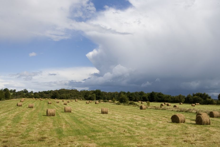 A rural scene of the countryside near Saints Island, County Longford