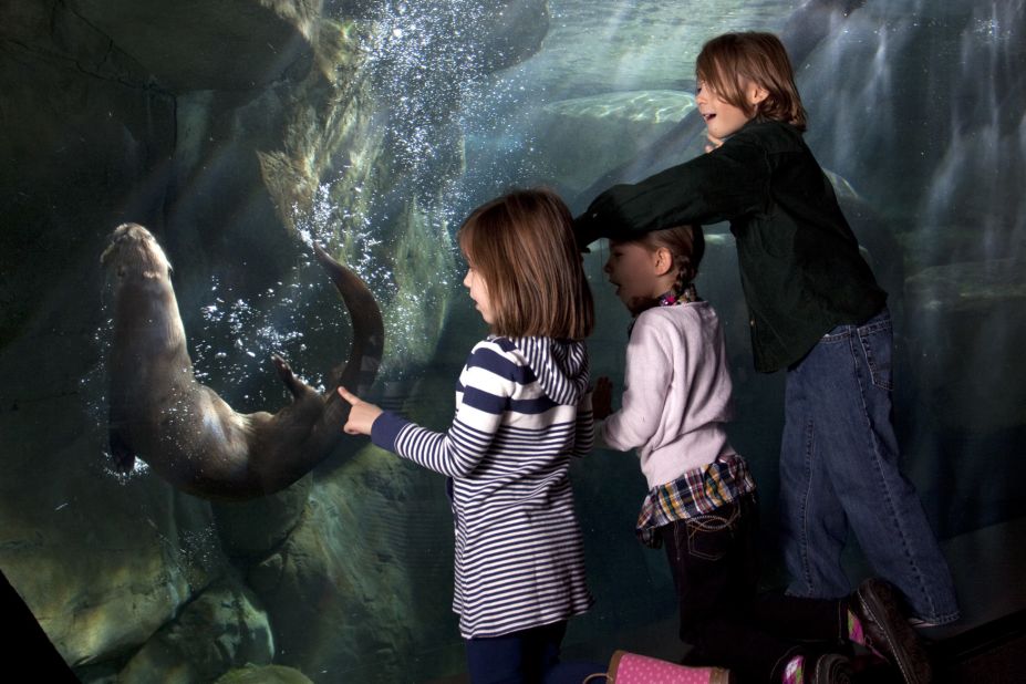 Family travel is far from perfect, so embrace that imperfection with a 'wabi sabi' trip. Make it easier on yourself and go regional. In the Southeast, Chattanooga, Tennessee, and Huntsville, Alabama, are packed with activities for kids. The Tennesse Aquarium is a popular attraction in Chattanooga.