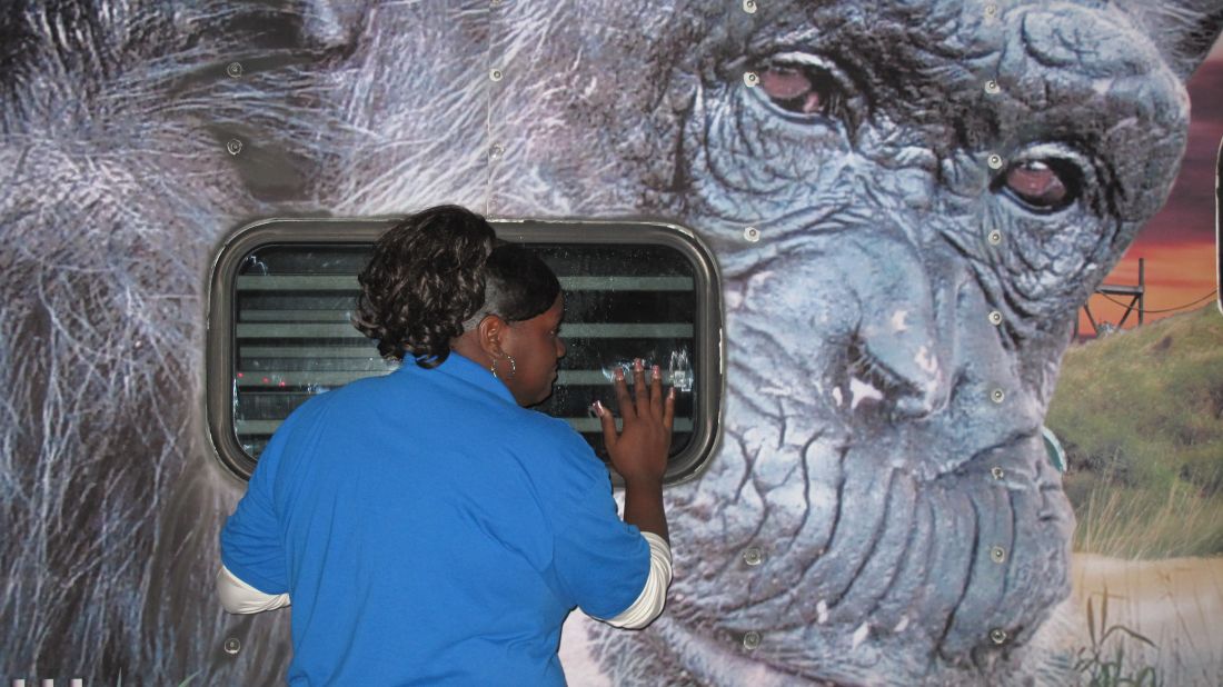 At a gas station in Slidell, Louisiana, cashier Denise Johnson runs out of the store to greet the chimpanzees. "I get to see them every time they come," says Johnson, who has greeted most of the 27 groups of chimps as they make their cross-country journey. Realizing that this is the final group of chimpanzees, Johnson starts to cry. "Well I hope they're happy where they're going," she says.  