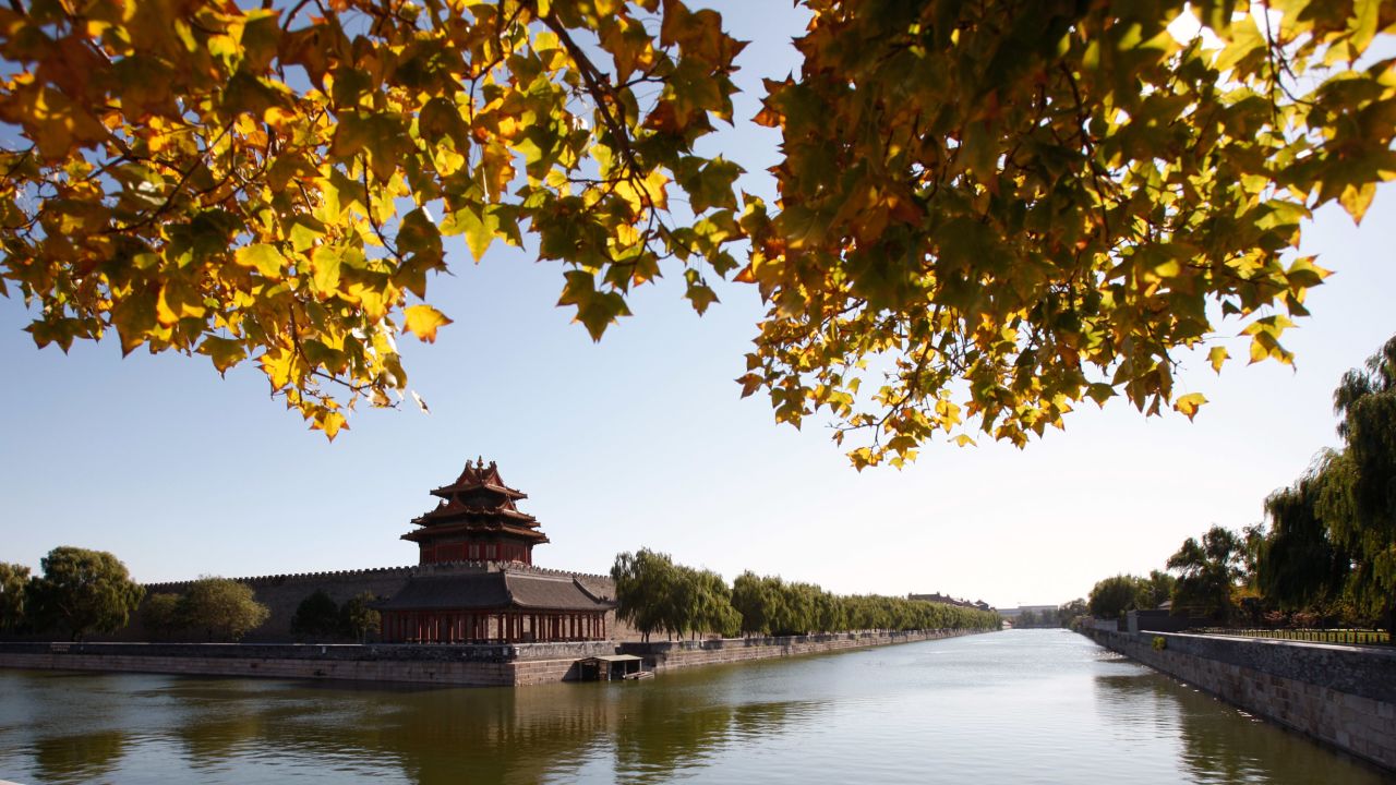 A Beijing residence permit is worth megabucks in China's love market. 