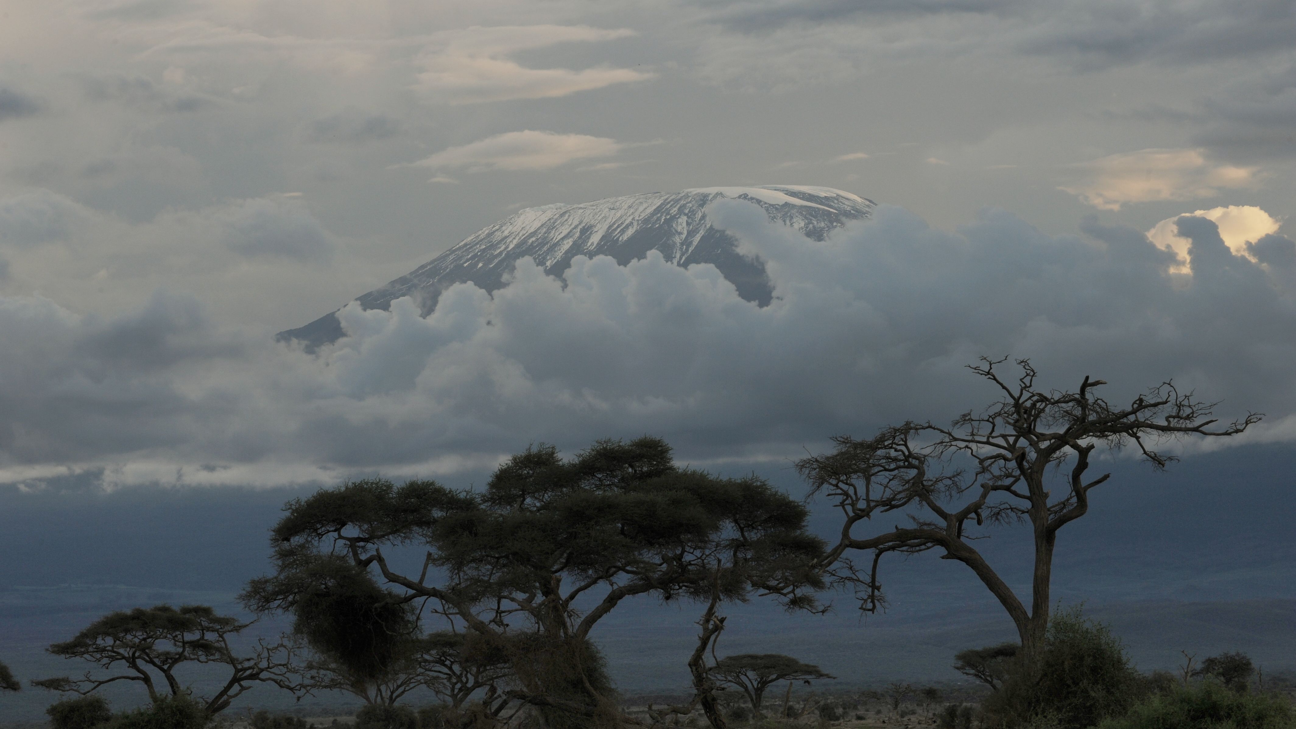 The famed snows of Mt. Kilimanjaro, actually glaciers, are retreating rapidly. Many scientists blame global warming.
