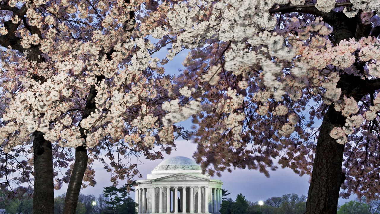 The Jefferson Memorial, framed by cherry blossoms, reminds us to keep updating our institutions, says LZ  Granderson.
