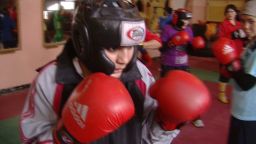walsh afghan female boxer_00011607