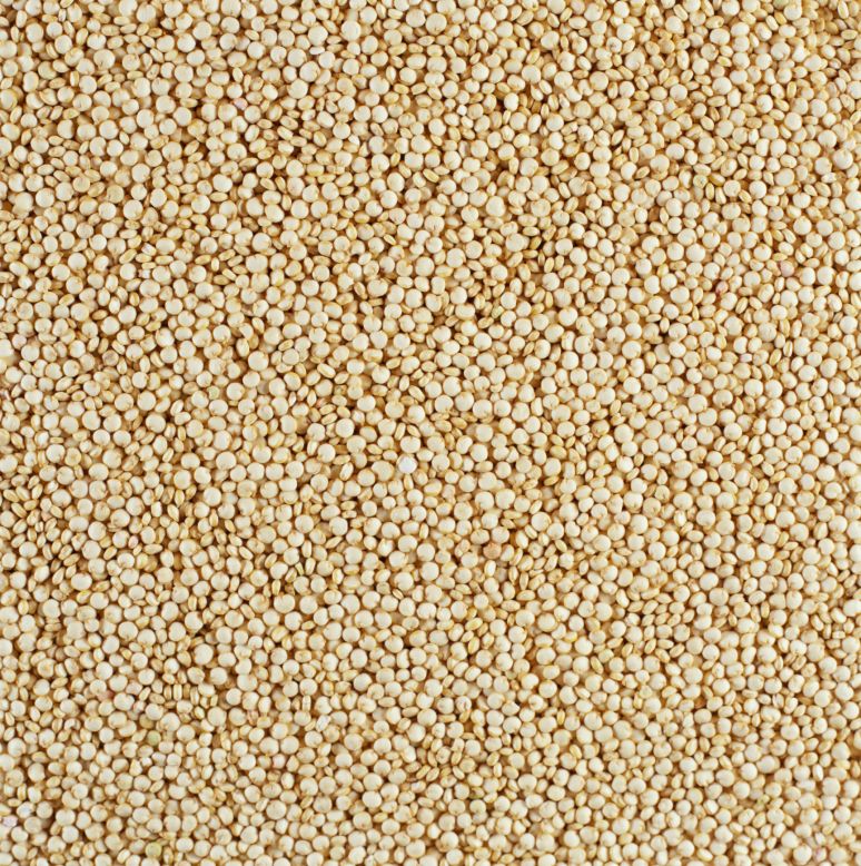 Quinoa is the popular whole-grain du jour because it also contains a good dose of protein to help build muscle. Yet including any type of whole grain in your diet -- from barley to brown rice -- will aid in weight loss by filling you up for fewer calories. 
