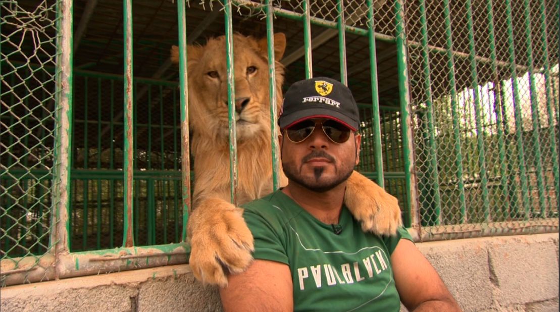 The Ras Al Khaimah Wildlife Park is a sanctuary based in the United Arab Emirates that houses endangered or exotic animals that were abandoned after being bought and sold on the black market. 