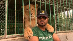 Jasim Ali with lion Teymour, whom he says he rescued from a farm where he was a neglected pet.