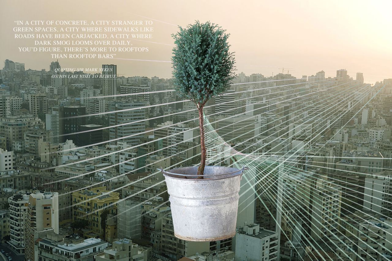 Artist's impression of a sapling Savior tree in a basic tin pot. Melki claims that this simple method will avoid the need for complicated drainage systems. 