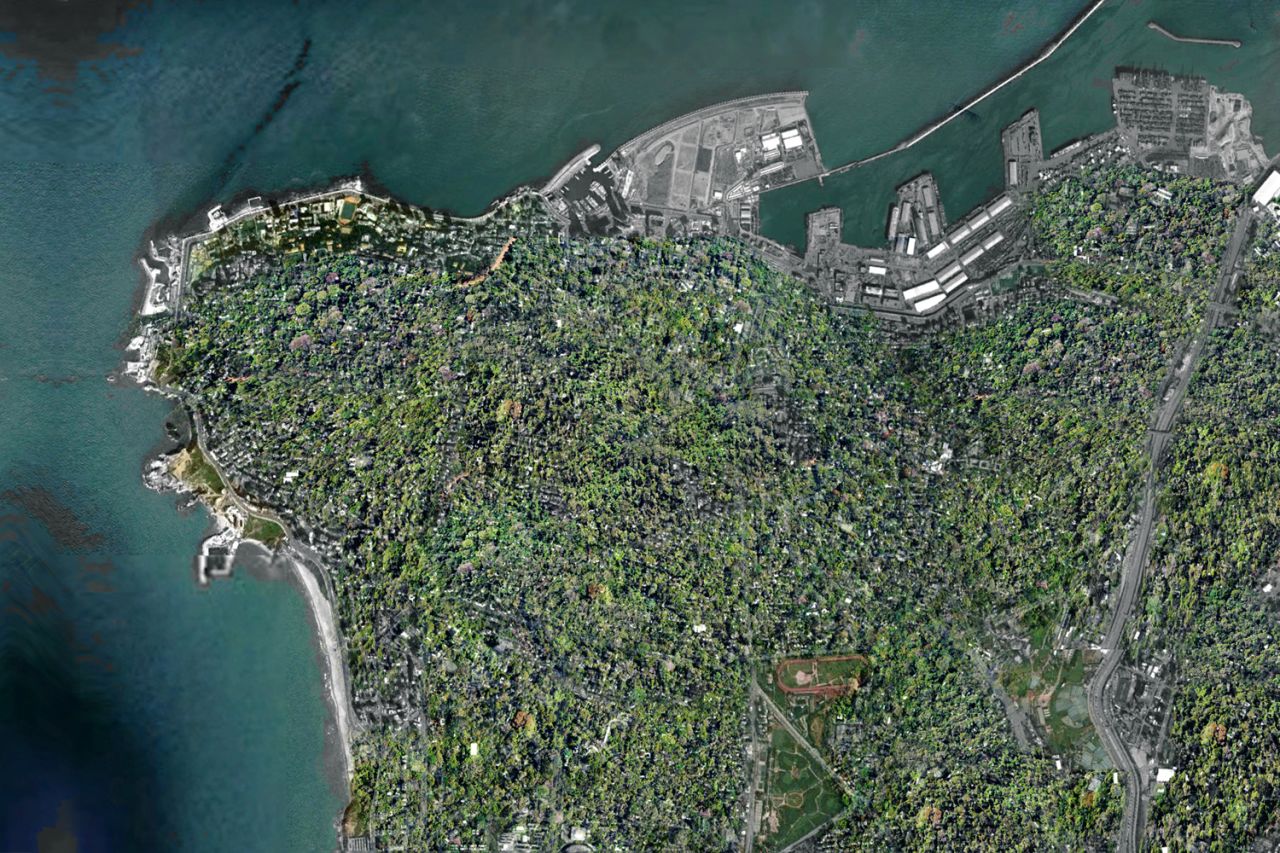 A computer generated aerial view of the city after Wonder Forest has been installed. Melki says: "Just imagine: The world's first rooftop garden city."
