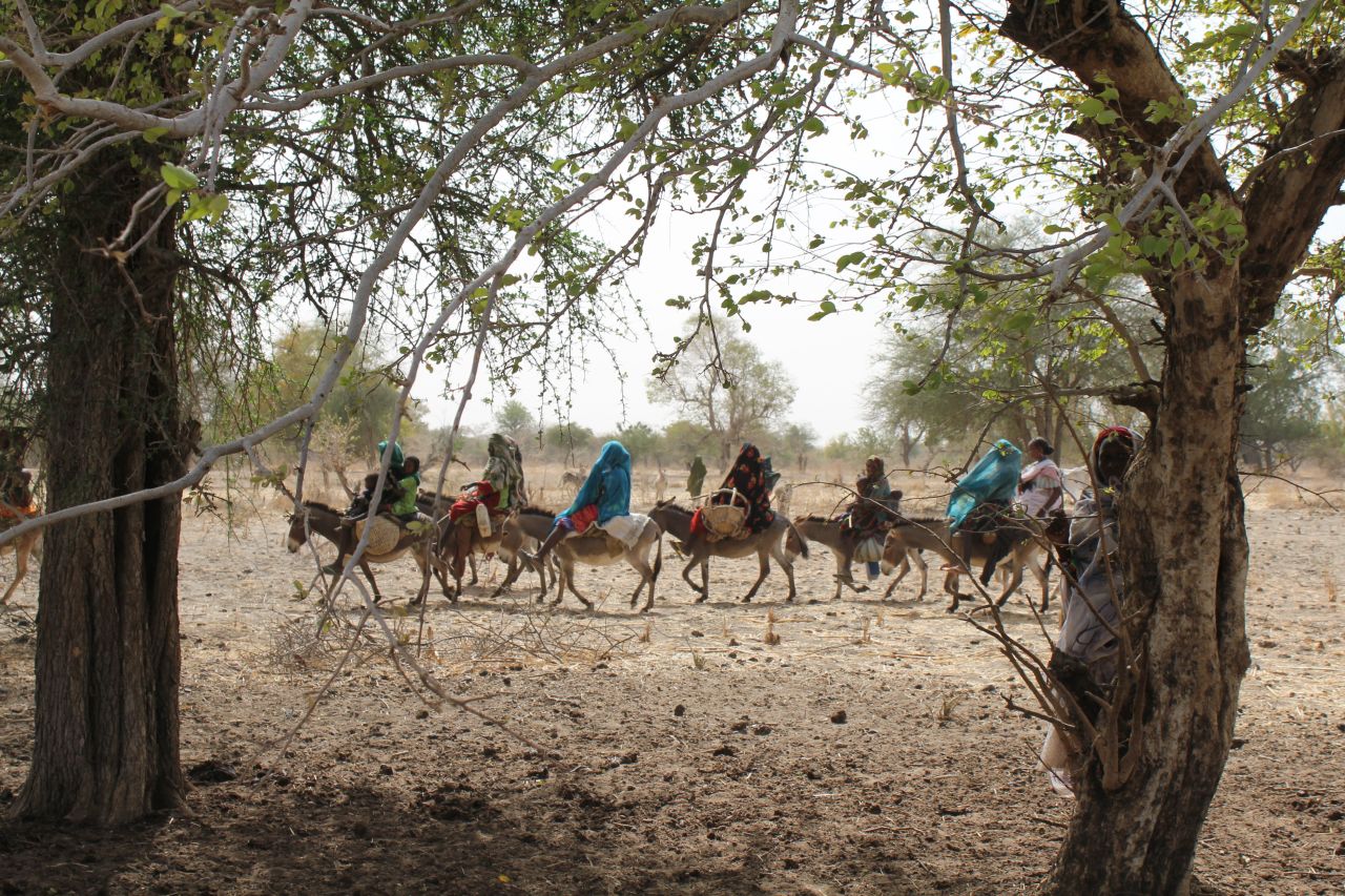 Arabic Nomads in Chad say that many have given up their lifestyle as the rains come less frequently and are unpredictable. 