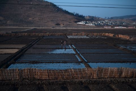 North Korean women are seen from the window of the train as they work on a paddy field, April 8, 2012.