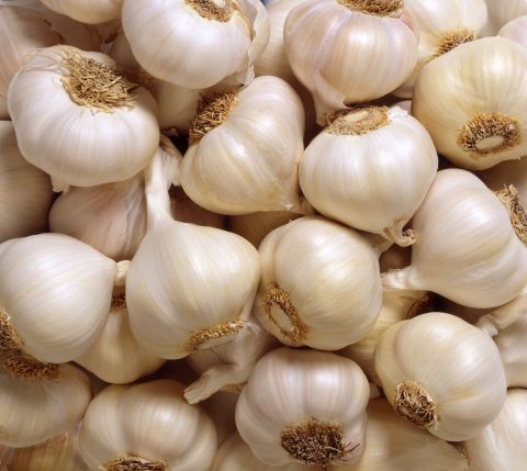 "Garlic contains allicin, a compound that can help fight infection and bacteria," dietitian Alissa Rumsey says.