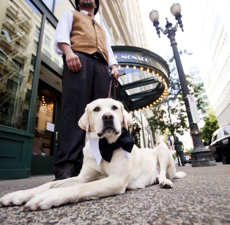 Hotel Monaco in Portland, Oregon has a pet psychic on staff who can work with animals and their owners to improve a relationship and solve behavioral issues during a complimentary wine hour.