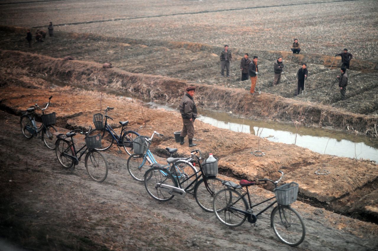 Bicycles line the road as citizens work the land between Pyongyang and the North Phyongan province.