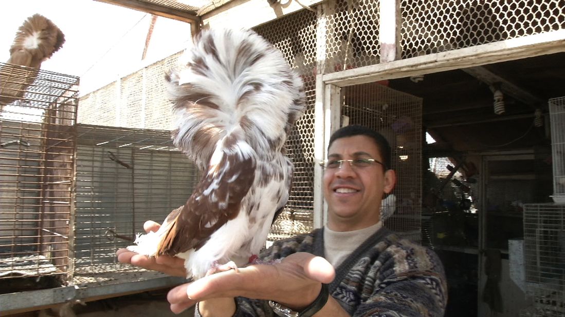 Hassan with one of his most unusual-looking pigeons. 