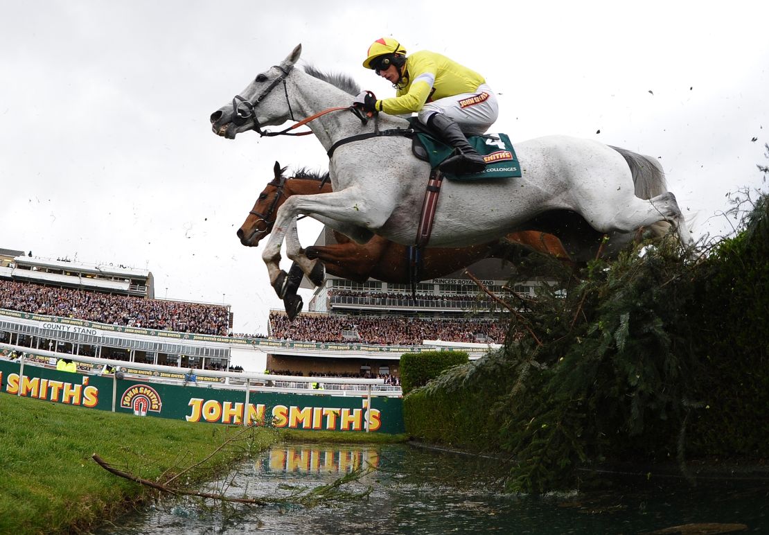 Neptune Collonges on the way to victory in the 2012 Grand National.