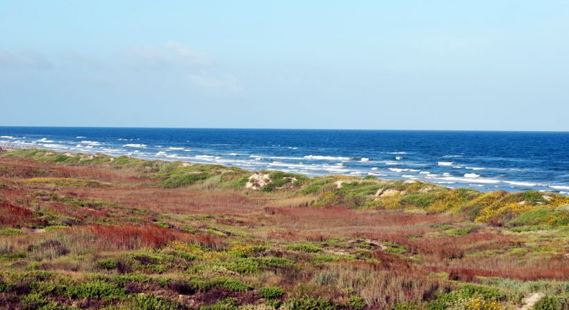 With 70 miles of protected coastline, Padre Island in Texas is the longest undeveloped barrier island in the world. The island is favored nesting ground for the endangered Kemp's ridley sea turtle and is inhabited by more than 380 species of birds.