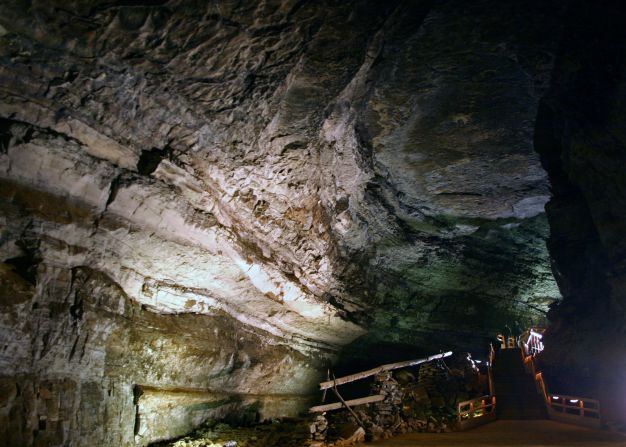 Mammoth Cave National Park in Kentucky was established in 1941 and hosts a variety of interconnected ecosystems.