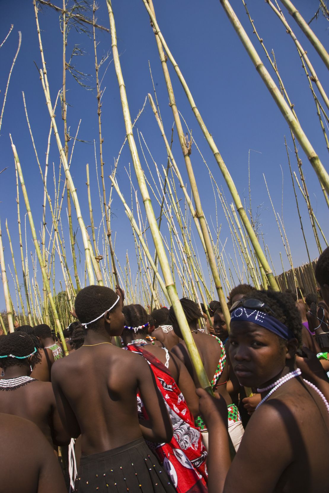 A group of Zulu women carry reeds to the royal palace during the annual reed-dance ceremony.