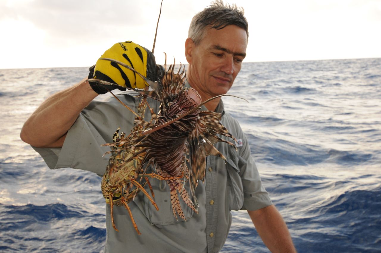 Florida's fisherman are catching more and more each year in their lobster traps. 