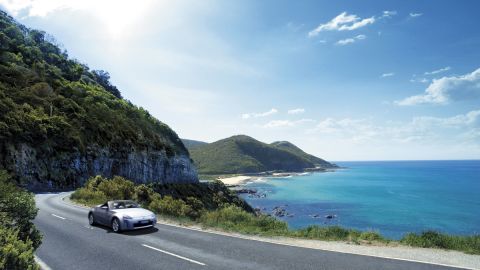 Great Ocean Road: Contains sea, rainforest, cliffs and koalas. 