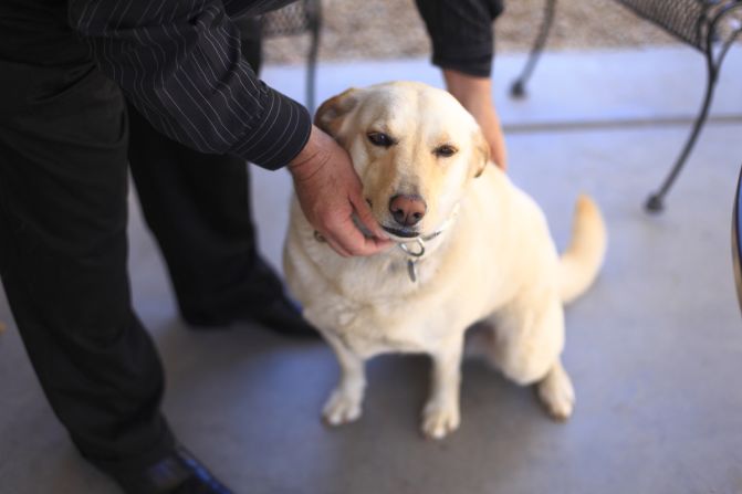 Daniel Adkins Jr. was walking with his dog, Lady, when he was killed. He was clutching her leash when he was shot, and the dog remained faithfully beside him as he died.