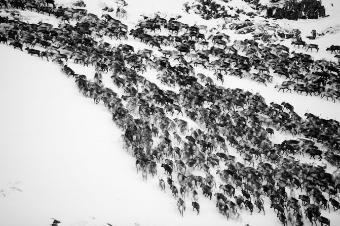 Lulea's subarctic climate, with mild summers and long, cold and snowy winters, make it an ideal habitat for reindeer. However, in recent years, locals have said that temperatures have been rising appreciably and, in 2010, a herd of more than 300 reindeer was reportedly lost when the ice cover of a frozen lake broke beneath their hoofs.