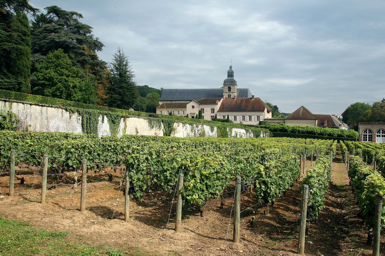 A picture from August 25, 2011 shows a vineyard belonging to the Moet & Chandon champagne house and the Abbey of Hautvillers near the northern French town of Epernay.